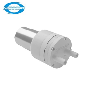 SKOOCOM SC4001XPW Мини водна помпа Dc 12v 3L/MIN